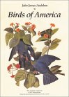 Birds of America 1566491959