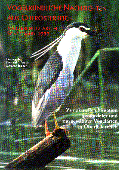 Black-crowned Night Heron (Nycticorax nycticorax) on the Lower Inn