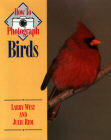 How to Photograph Birds